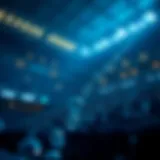 Conceptual representation of probability theory in betting