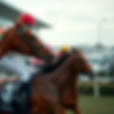 User experience on horse racing platforms